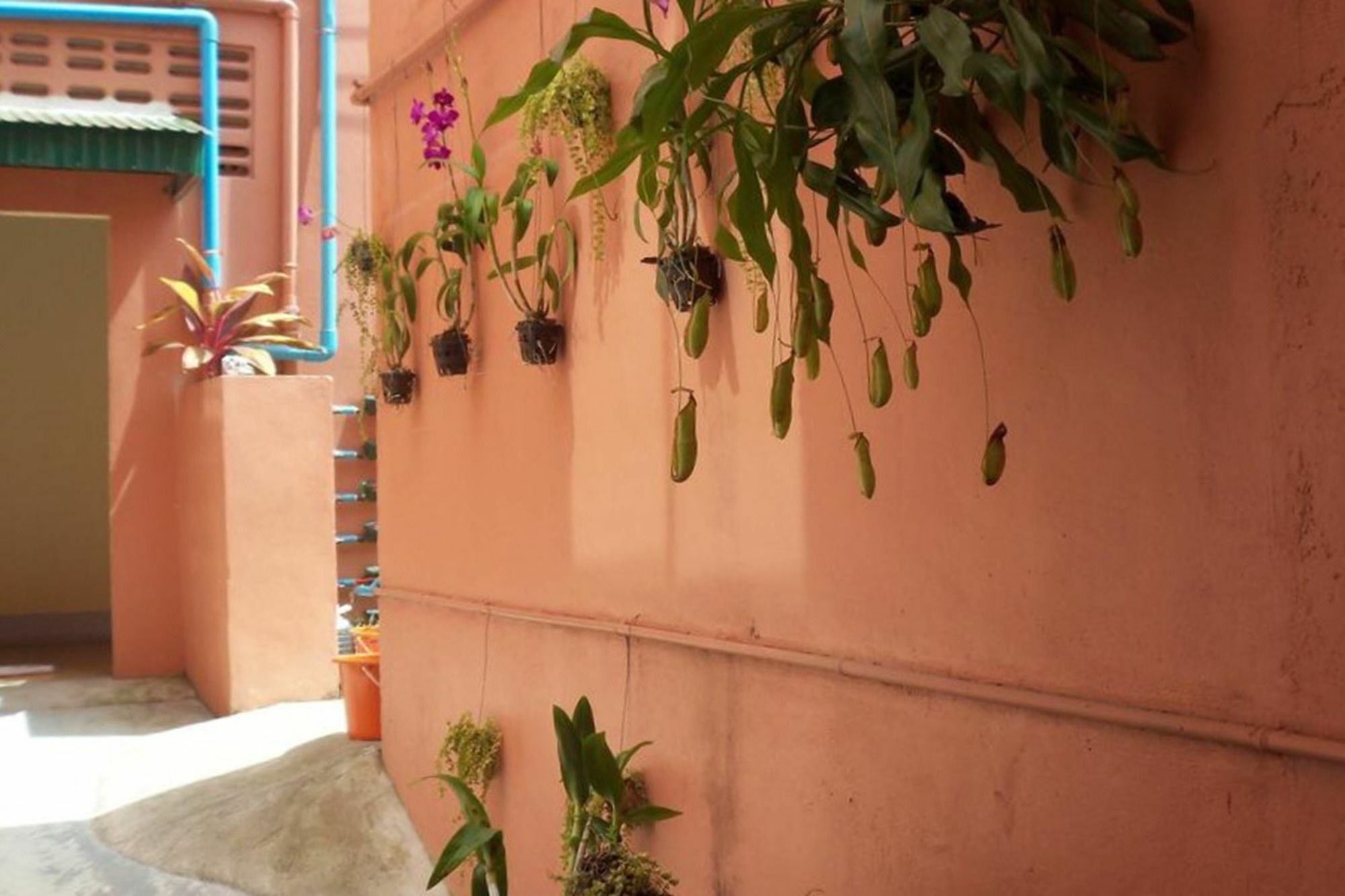 D'S Corner & Guesthouse Phuket Exterior photo
